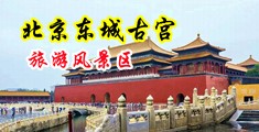 操逼操逼操逼操逼操操逼操逼操逼操逼中国北京-东城古宫旅游风景区